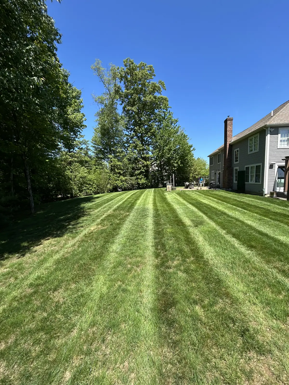 Straight stripes down a long back lawn