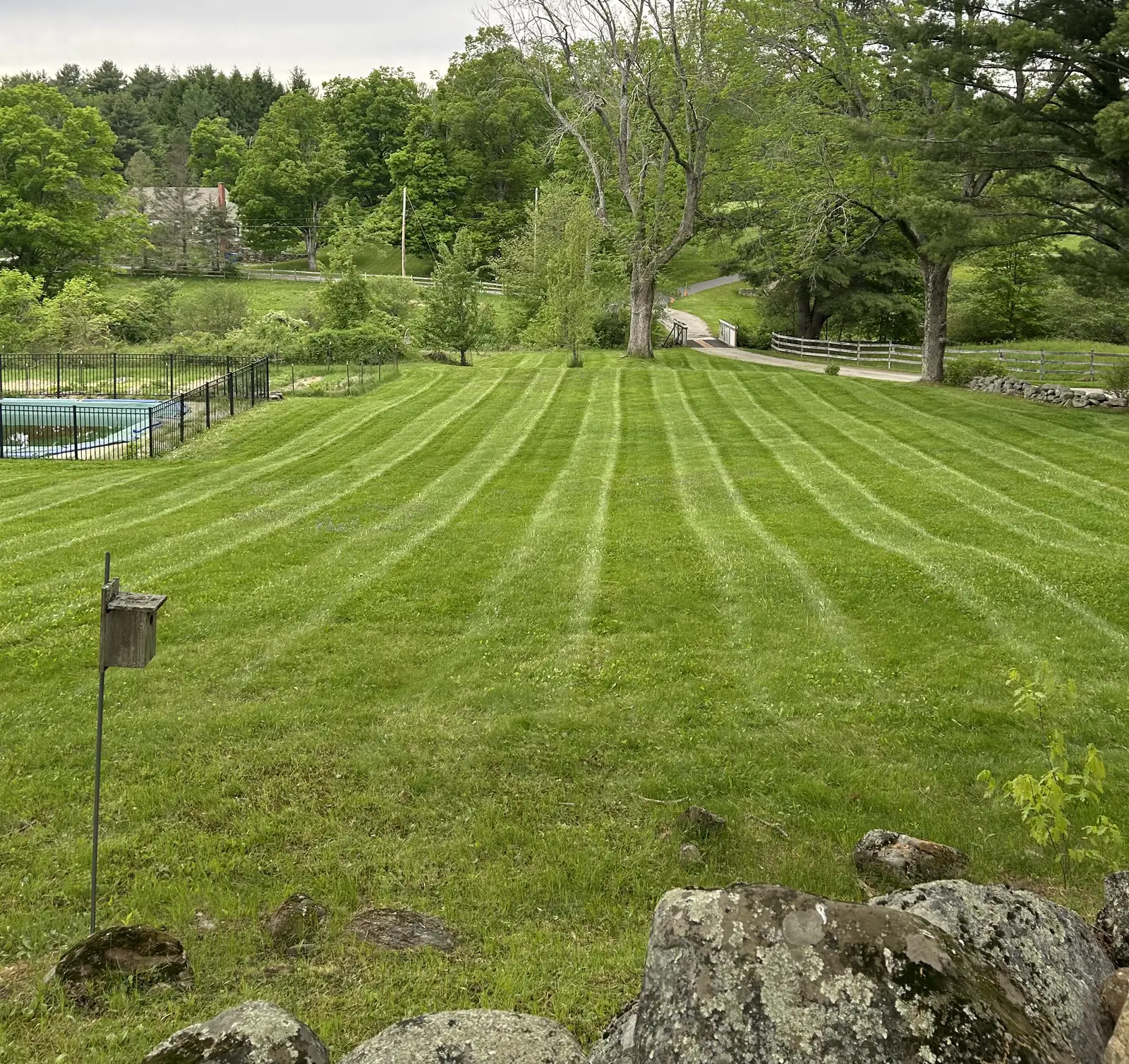 A freshly mowed lawn with alternating light and dark green stripes