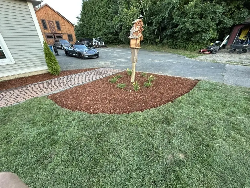 Island bed around the birdhouse, mulched and planted