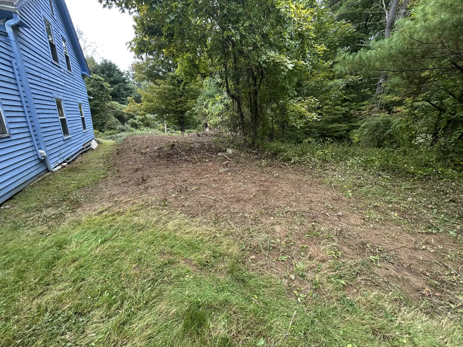 After — cleared right back to the tree line