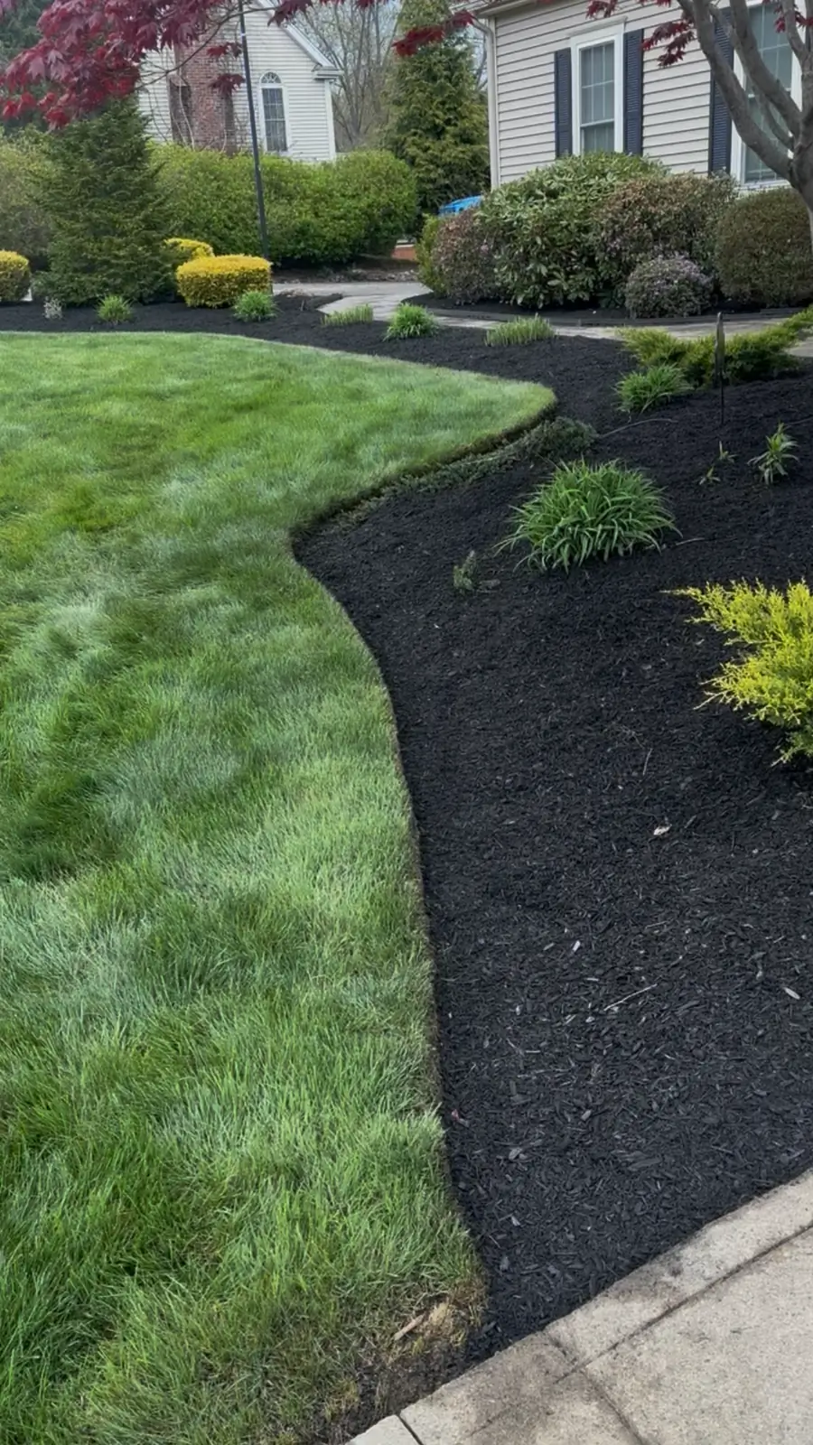 A crisp edge and fresh black mulch